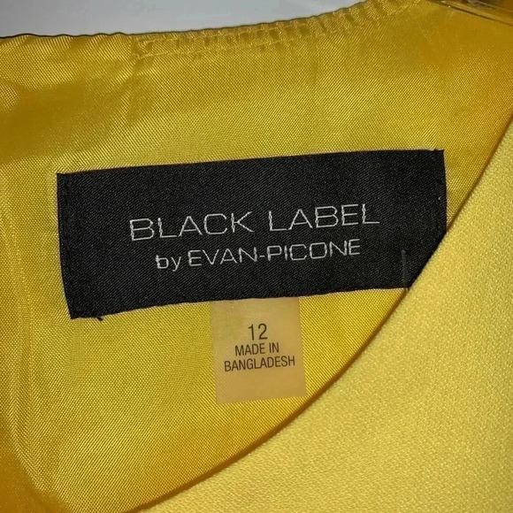 Black Label by Evan-Picone Sleeveless Sheath Dress - Picture 5 of 11